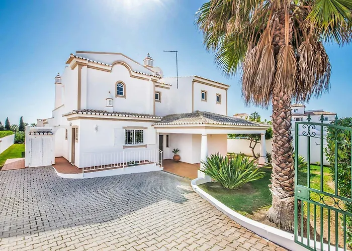 Damara * 阿尔布费拉