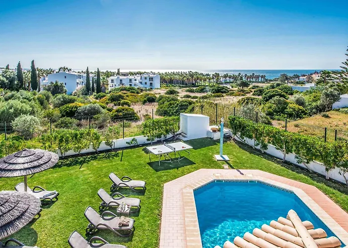 Damara 알부페이라